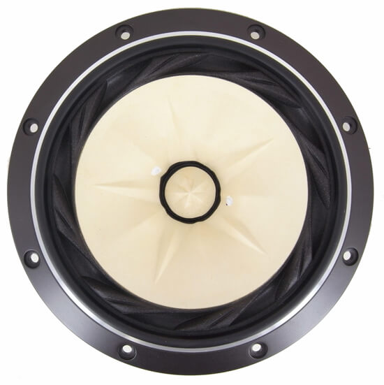 Fostex FE168EZ 8 Ohm